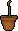 Oak sapling
